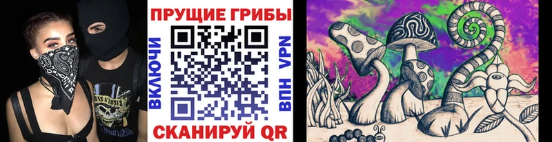 Купить закладки  Городовиковск  Галлюциногенные грибы Magic Shrooms 
